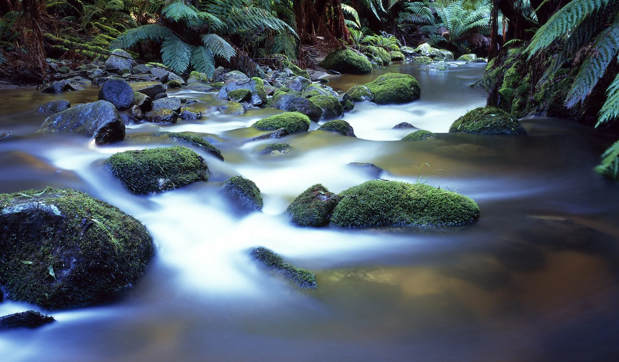 Blue Tier, Tasmania.jpg