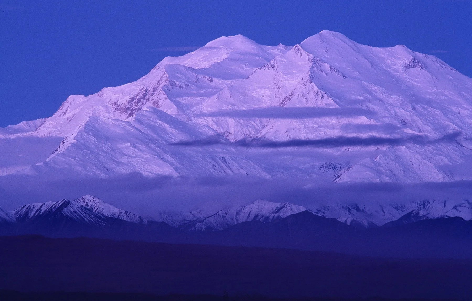 Denali 1.jpg