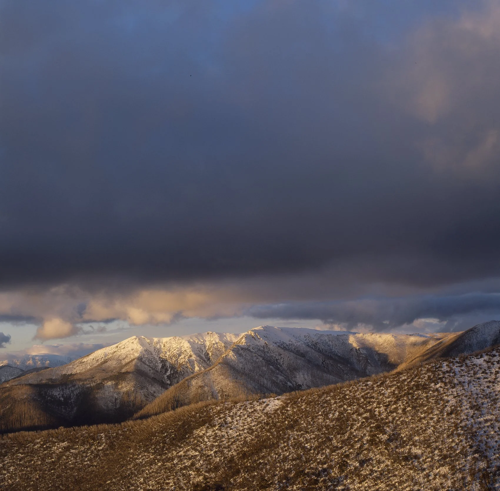 Bogong High Plains View.jpg