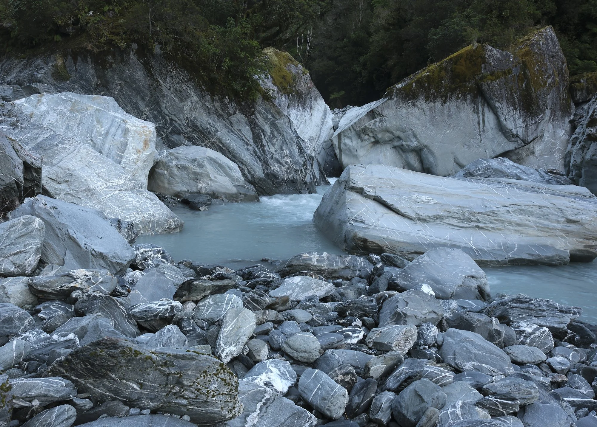 DSCF0204.jpg
