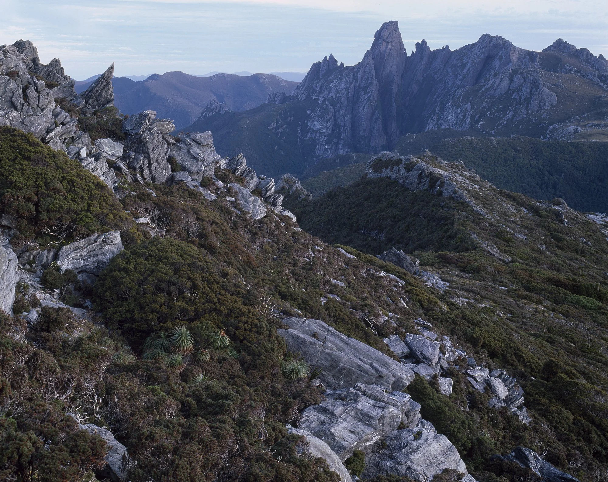 Federation Peak_6x6.jpg