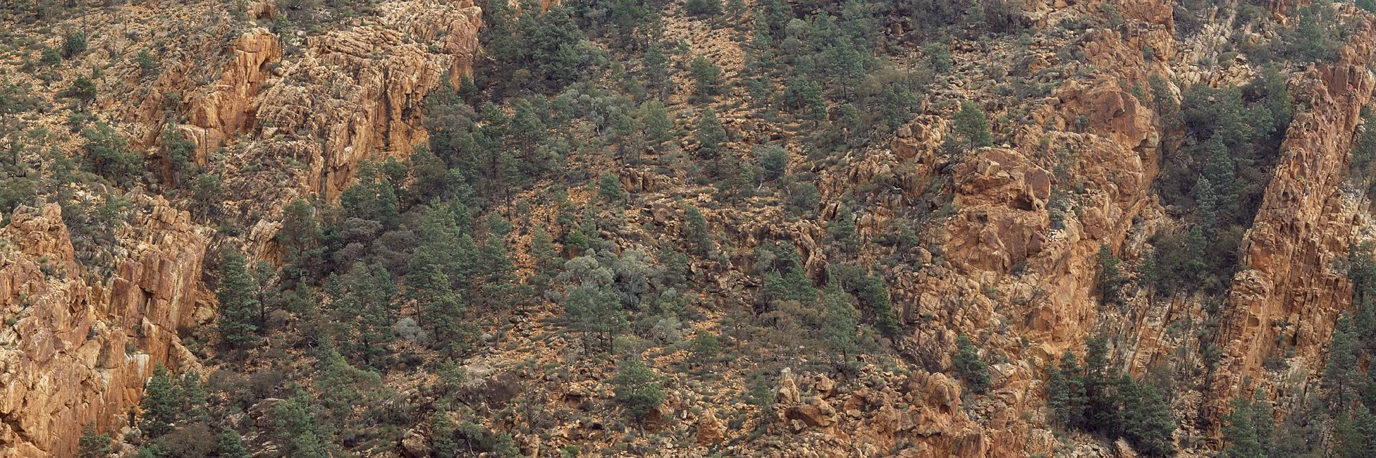 Chase Range1.jpg