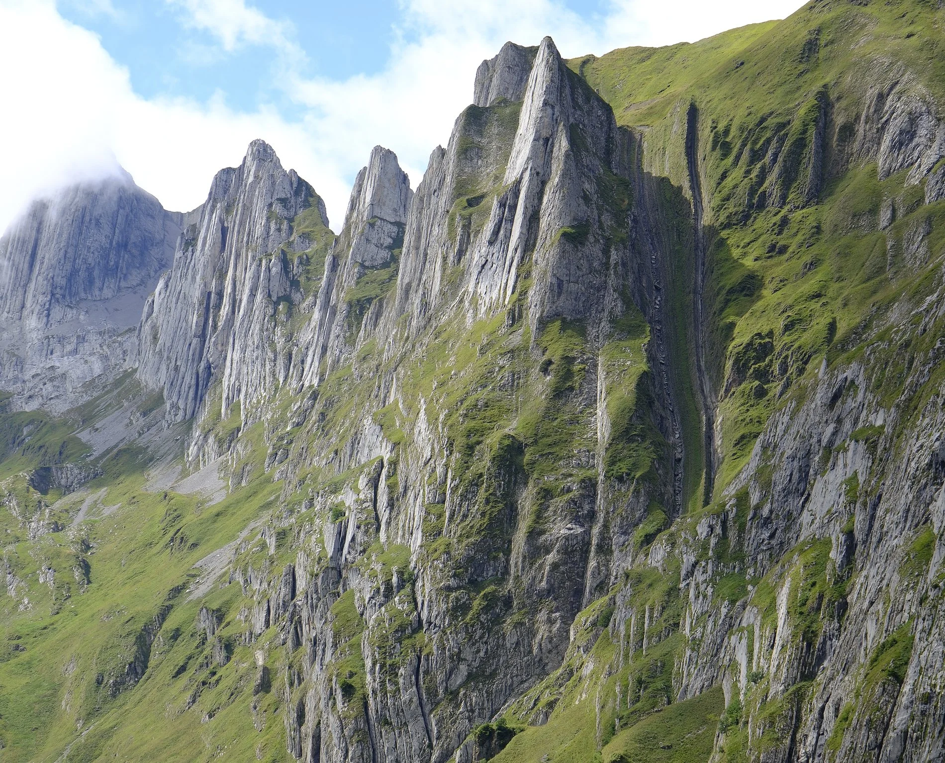 DSCF0422.jpg