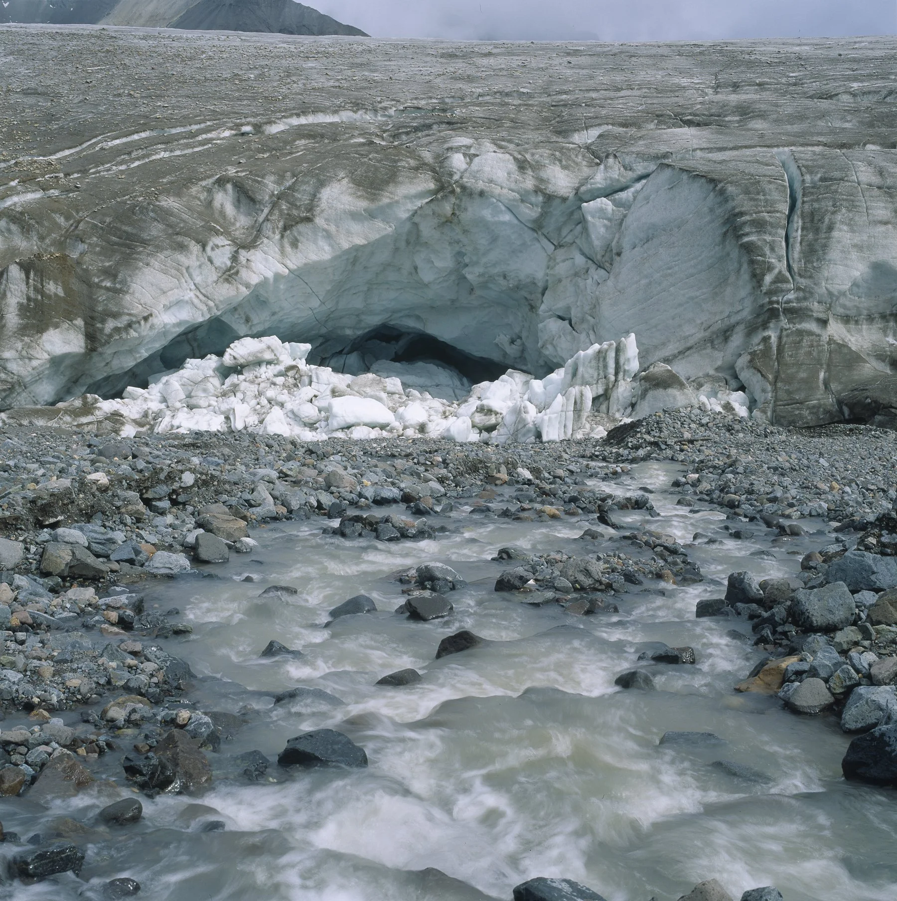 Frederika Glacier.jpg