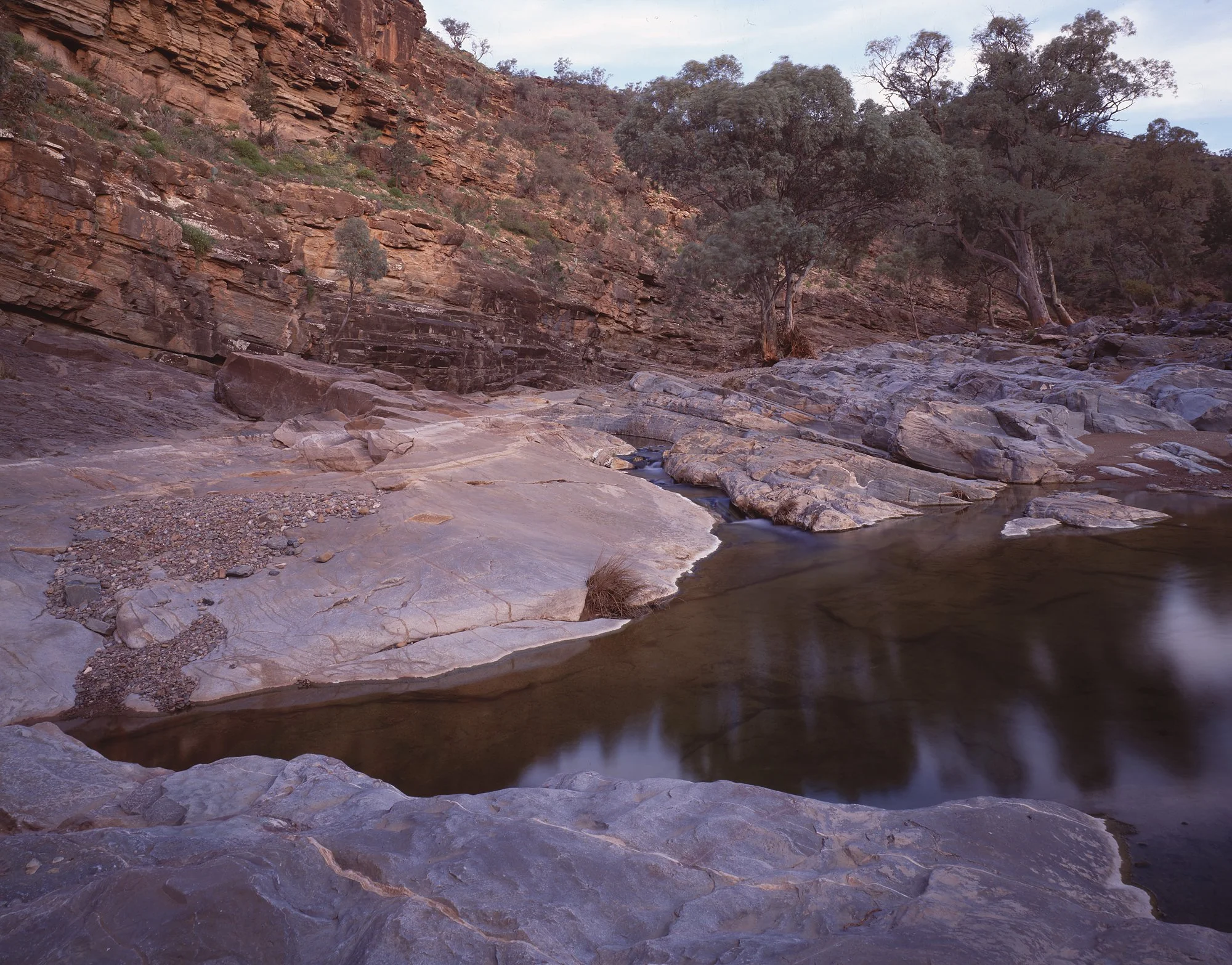 Oratunga Crk Flinders.jpg