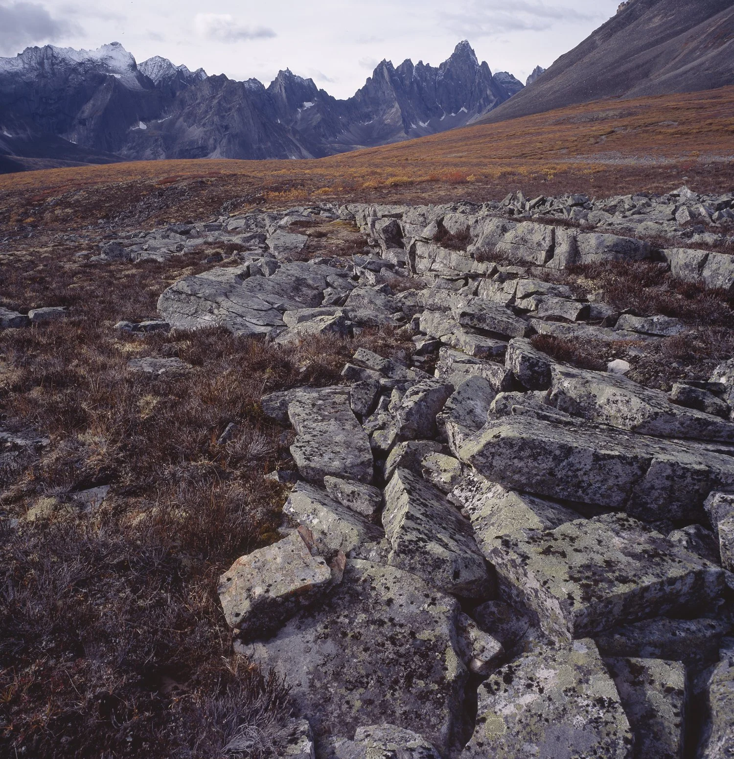 Tombstone Portrait_a 4x5.jpg