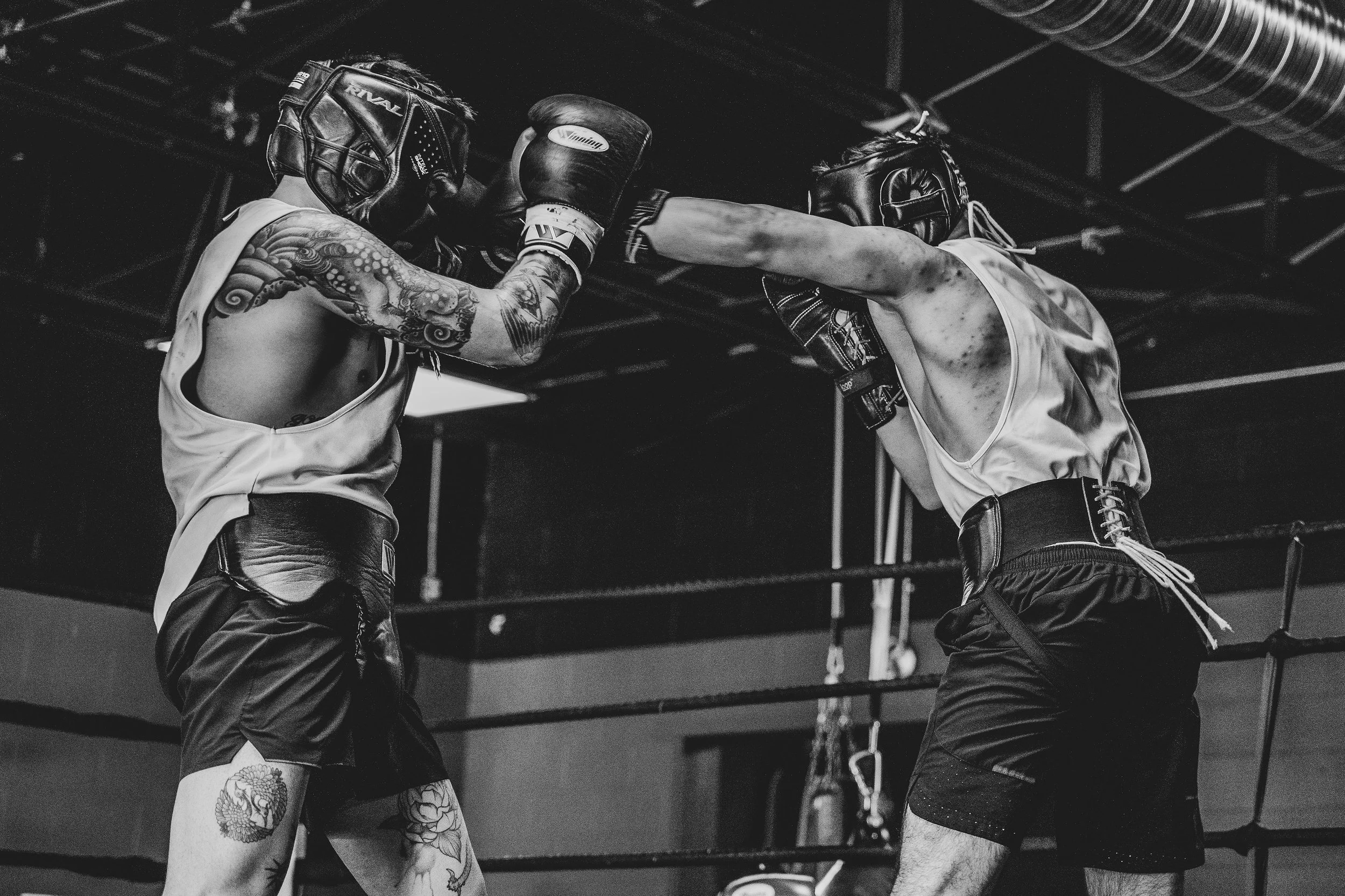 Memberships Calgary Boxing Gym Olympus Boxing Club and MMA