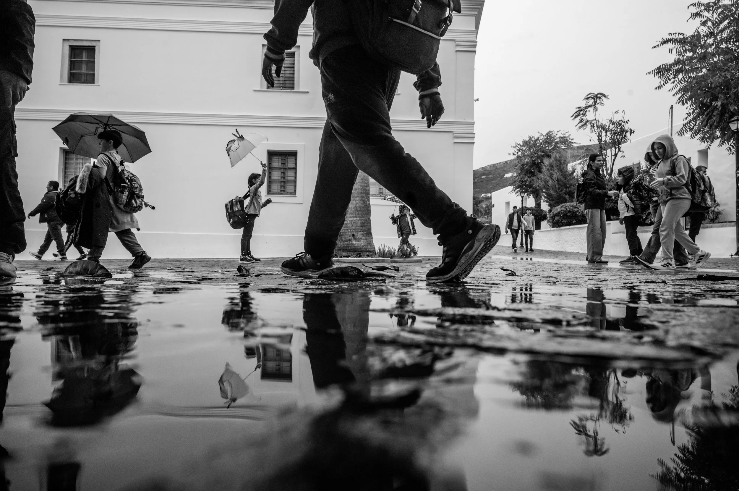 People walking on a wet street with puddles, some holding umbrellas, reflected in the water, with buildings and trees in the background.