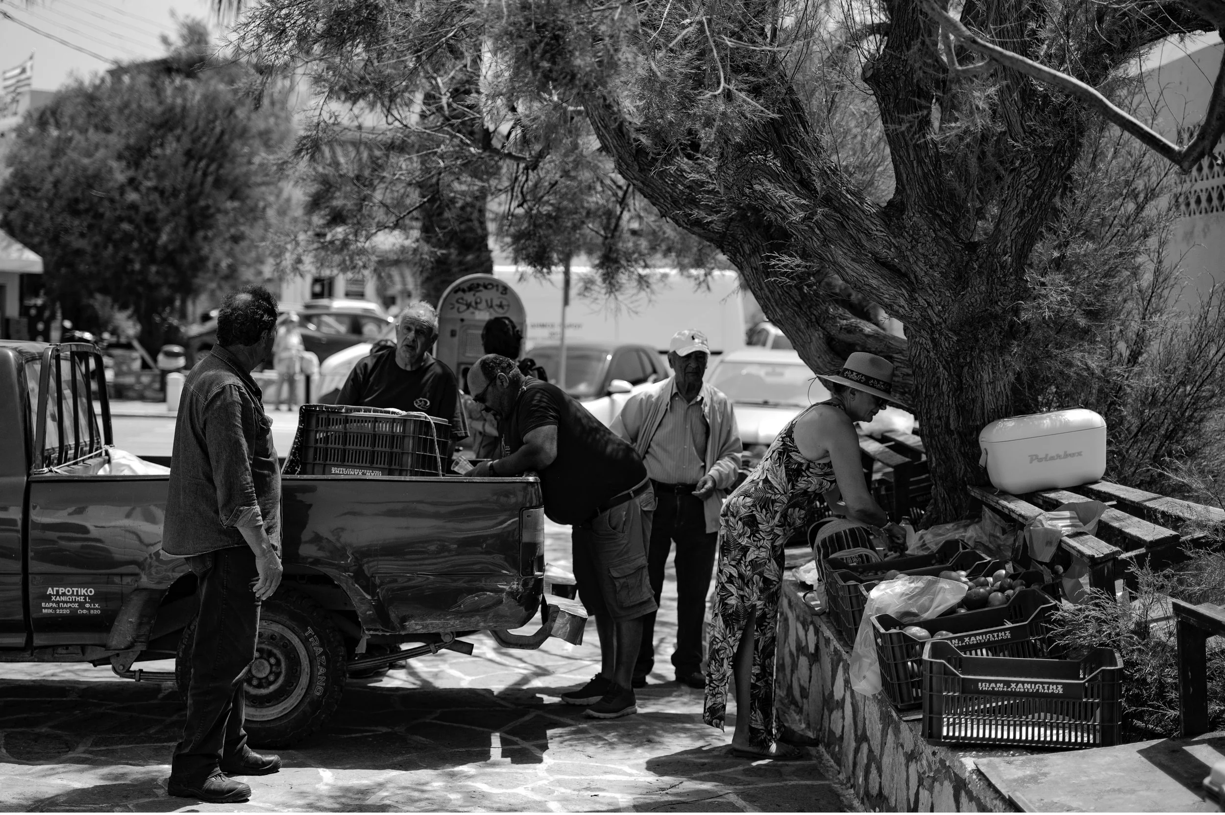 People shopping for vegetables at an outdoor market under a large tree, with numerous crates of produce and a truck nearby.