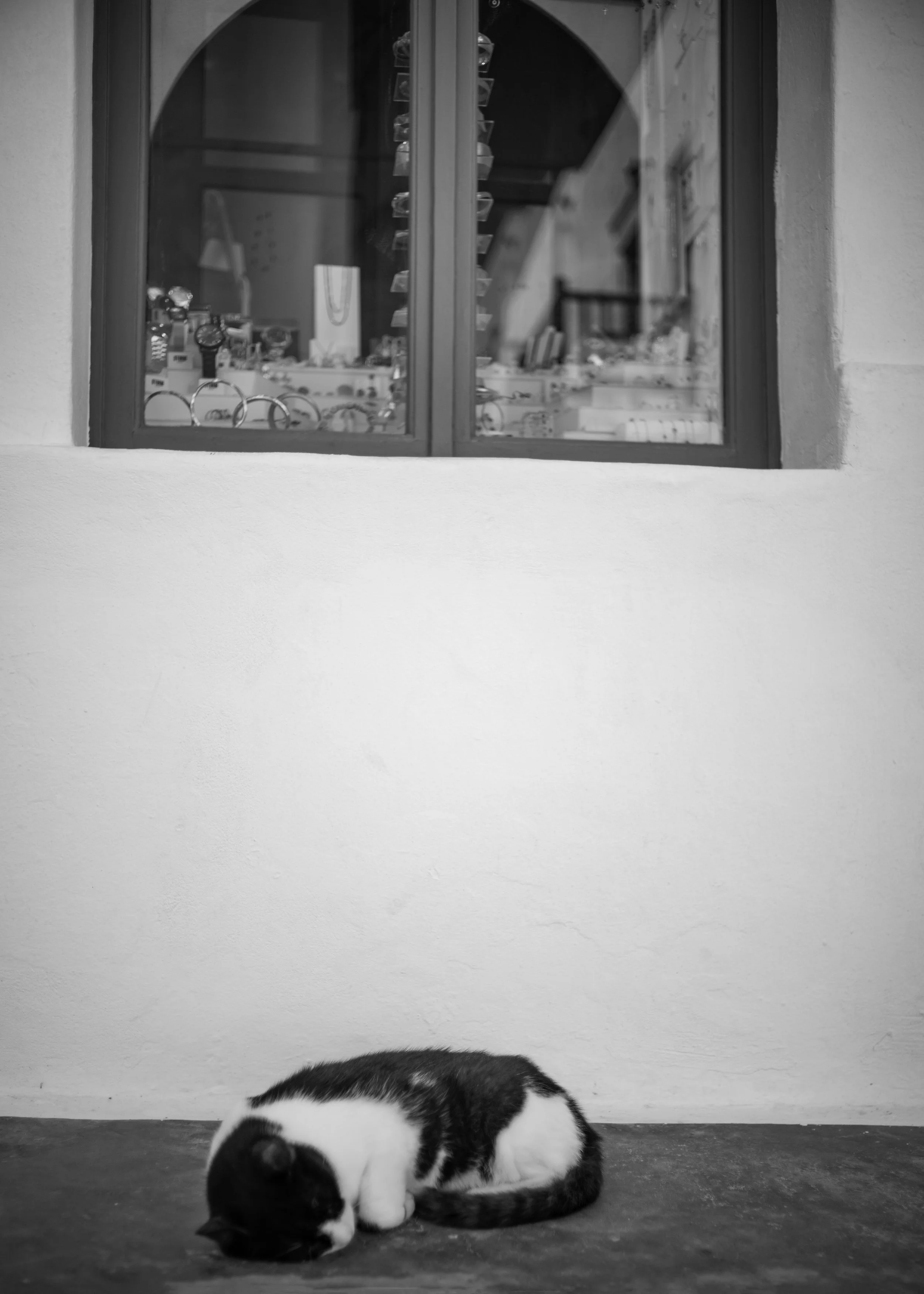 L1001556 copy.jpg