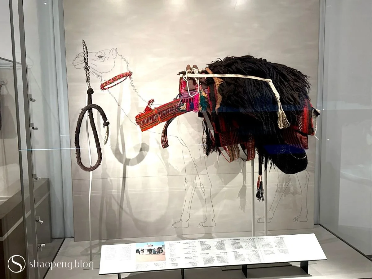 Camel Trapping | Al Ain Museum