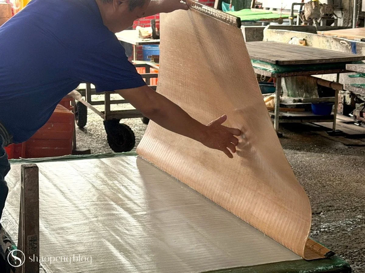 Patterend Paper "Luowen Xuan" | Guang Xing Paper Mill