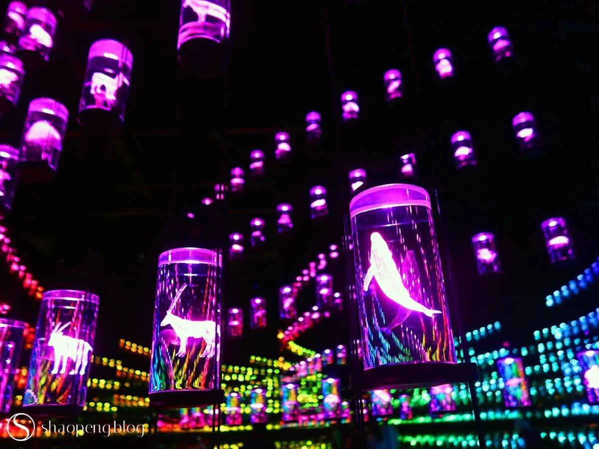 HEAL Institute Library at Museum of Future, Dubai