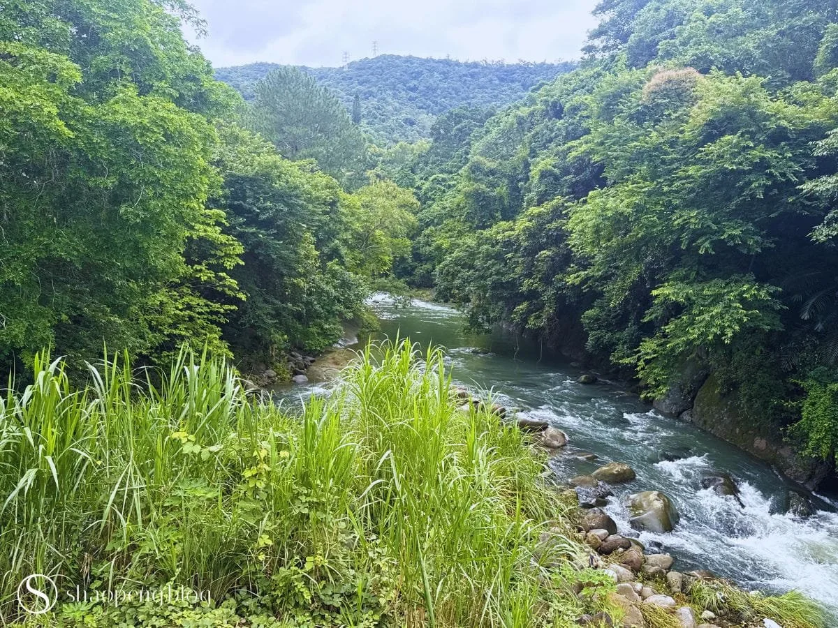 Lookout from Plum Garden | Abode of Maya