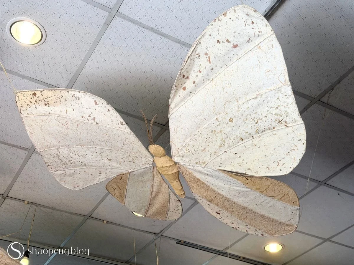 Paper Butterfly | Guang Xing Paper Milla