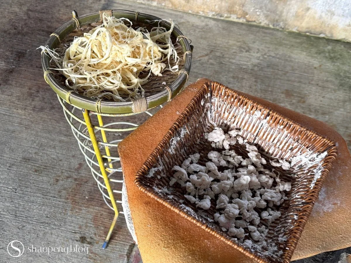 Trees for Papermaking | Guang Xing Paper Mill