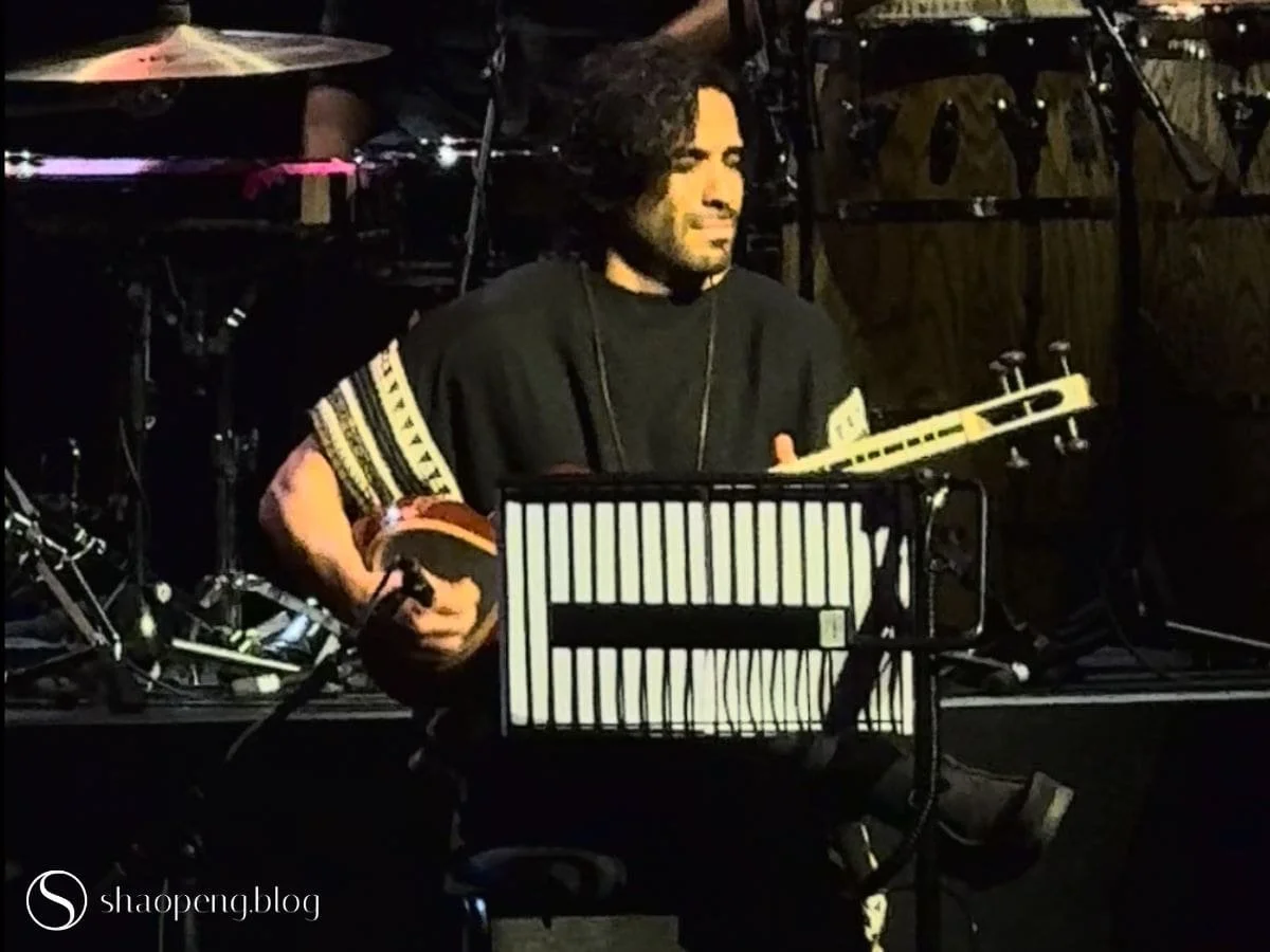 Ali Ghamsari on the tar