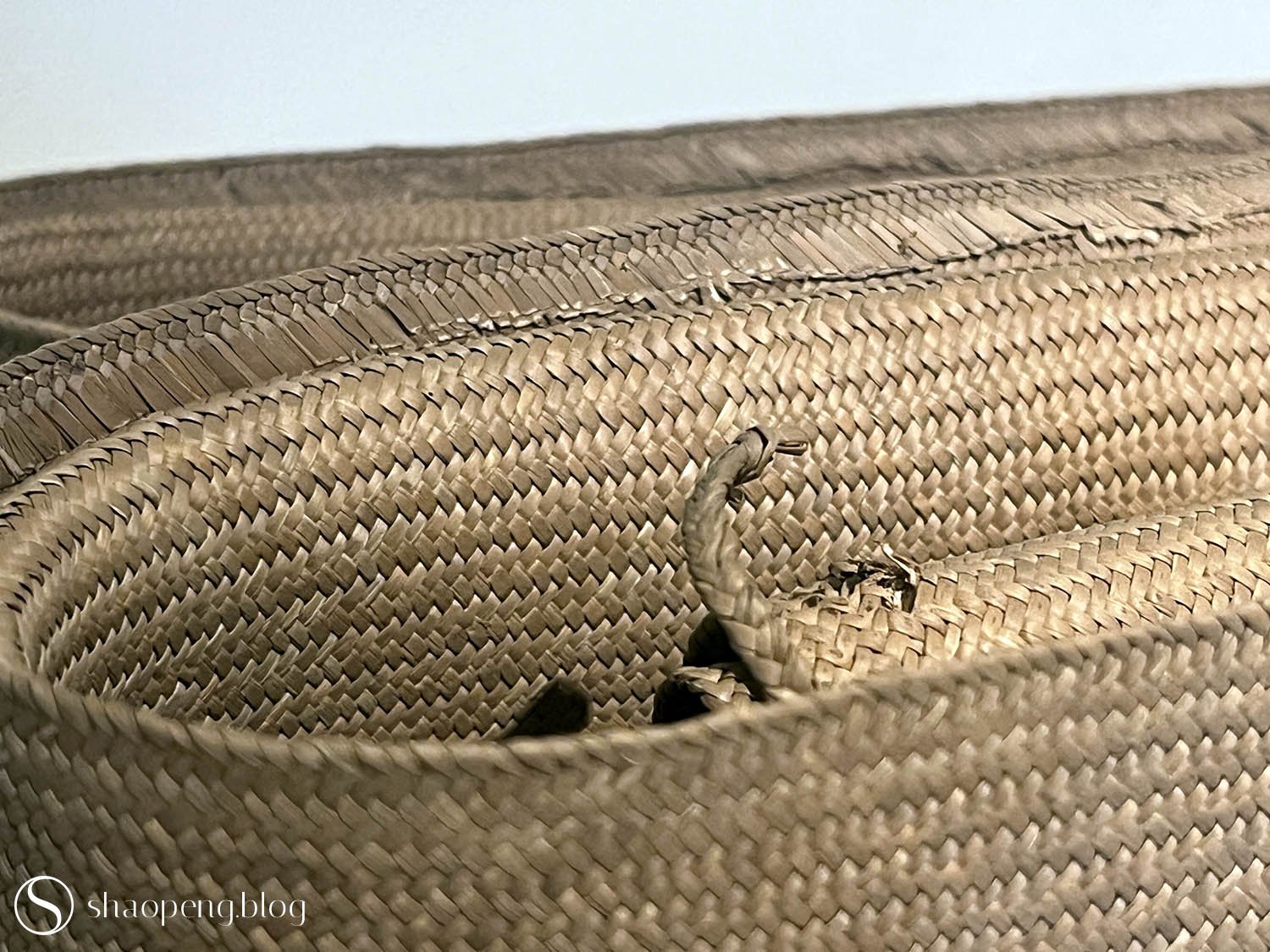 A close-up view of one of the earliest and finest examples of rush weaving.