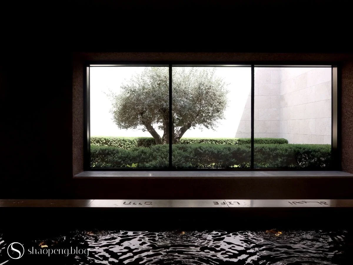 Olive Tree | Abrahamic Family House