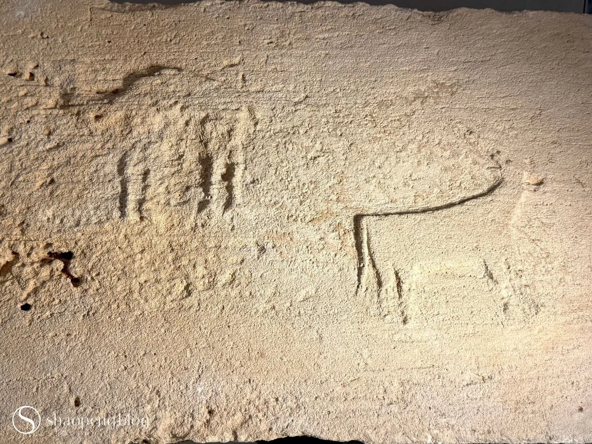Carving from Umm an-Nar Island | Al Ain Museum
