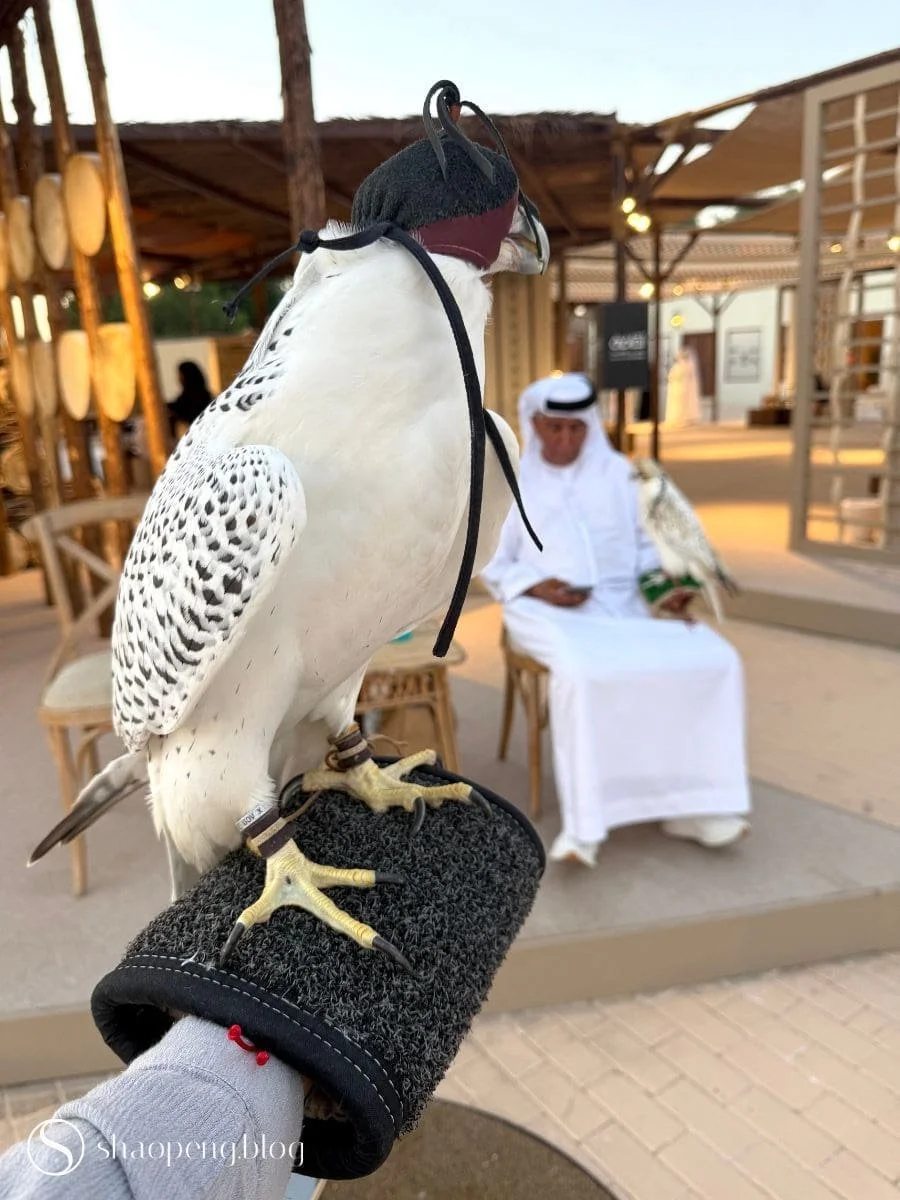 Falconry | Traditional Handicrafts Festival in Al Ain