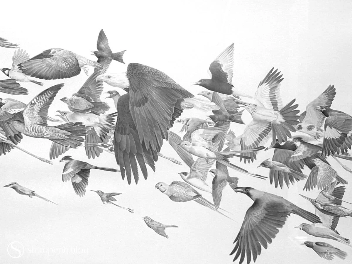 Getting Lost in “Urdu Worlds”