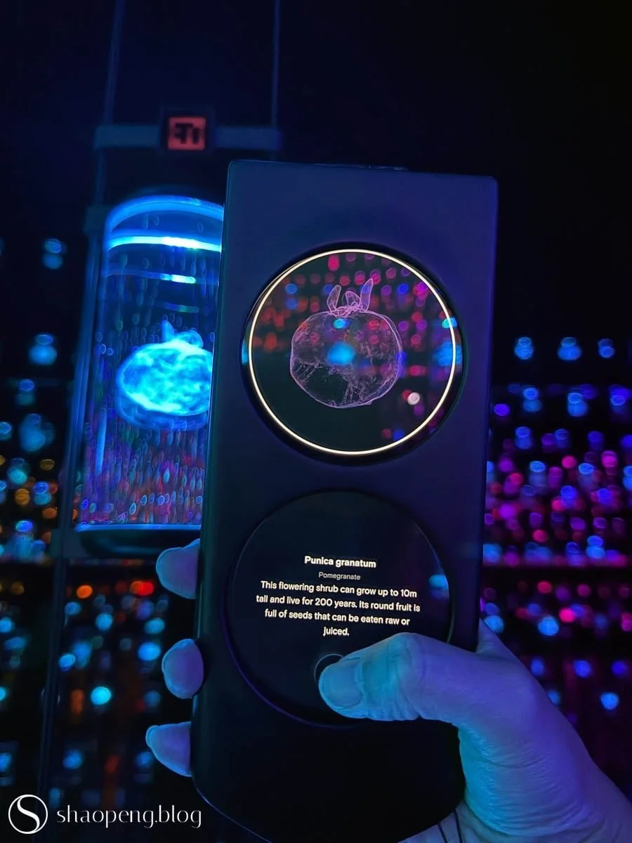 HEAL Institute Library at Museum of Future, Dubai