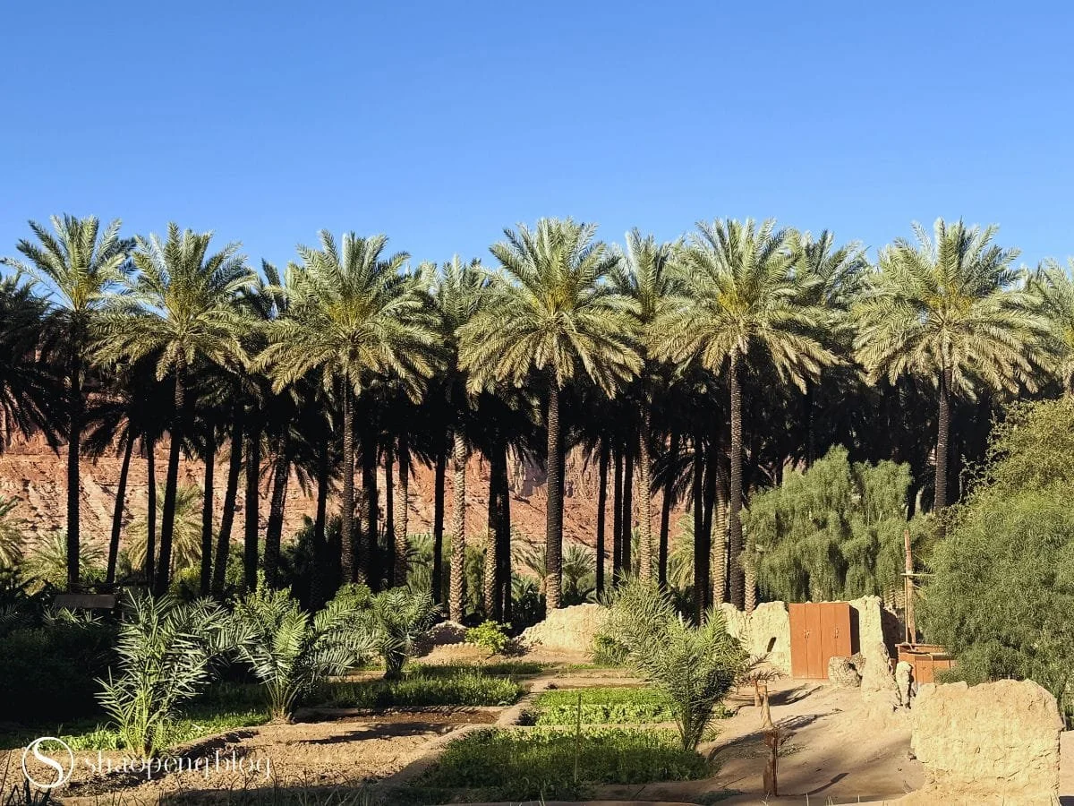 Oasis Heritage Trail | AlUla