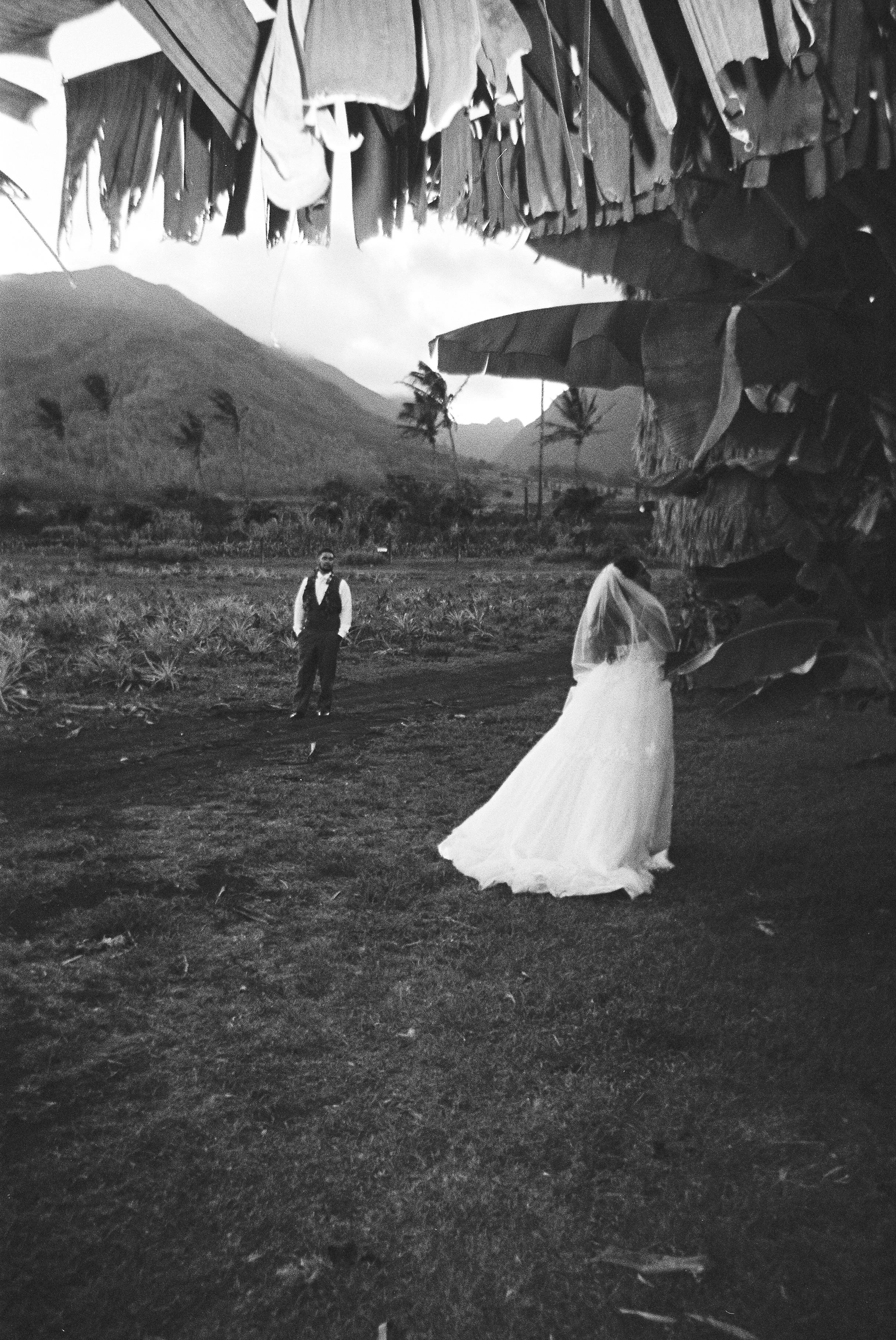 A couple standing in the banana grove at the Maui Tropical Plantation during their wedding.
