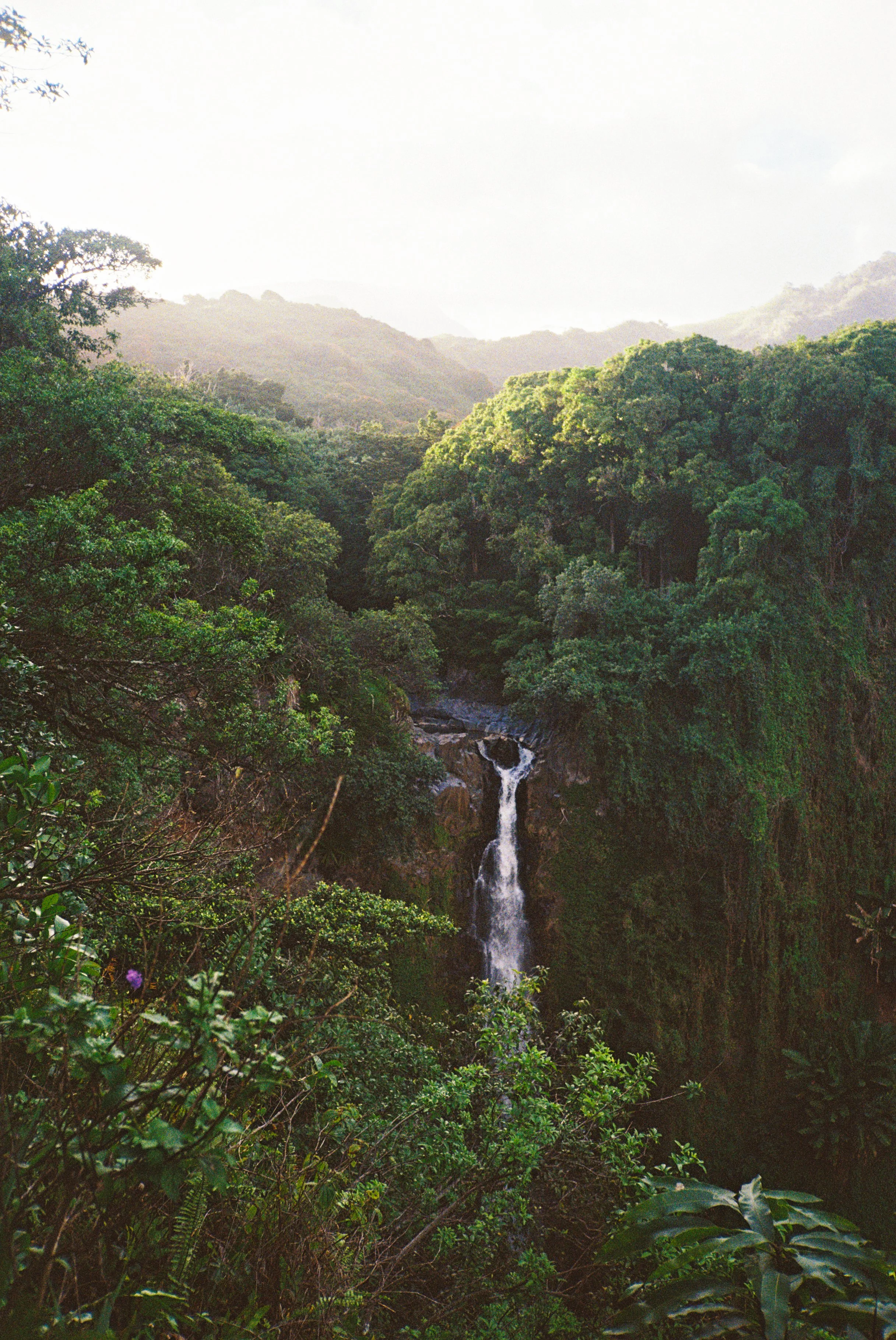 Maui waterfall in Hana captured on film during golden hour