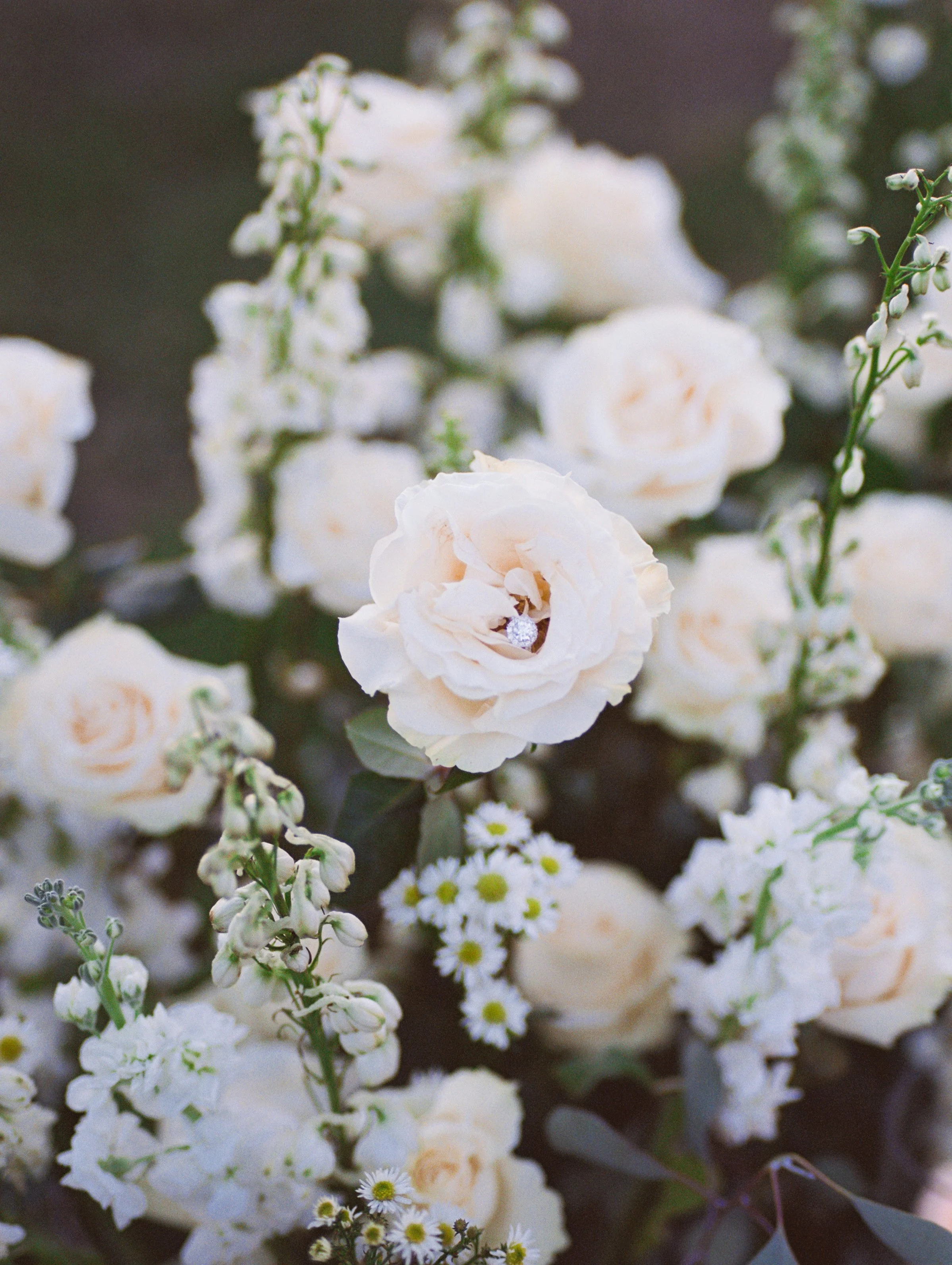 Maui film wedding photographer White Orchid Beach House