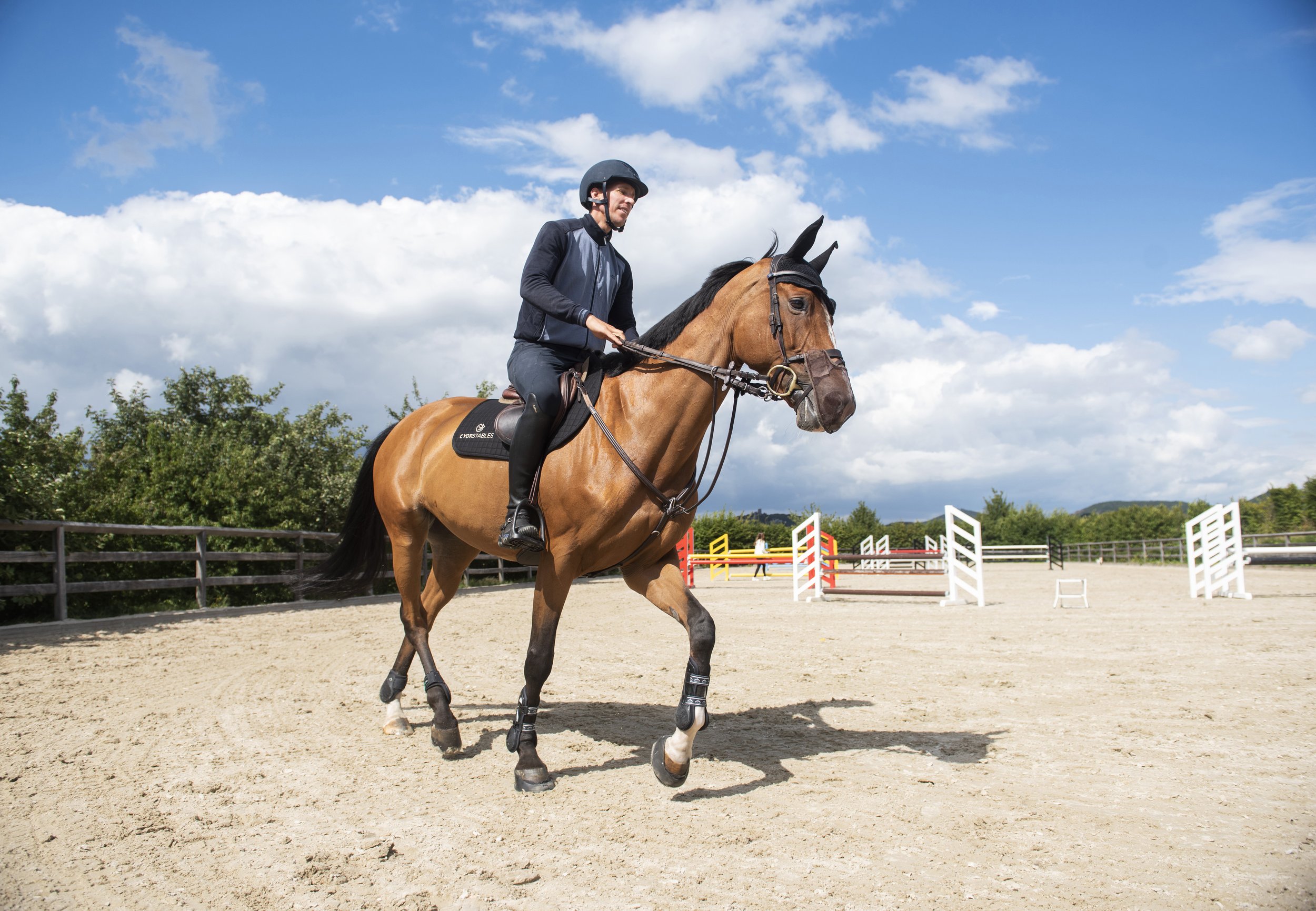 Equestrian riding brown horse in outdoor arena with jumps.
