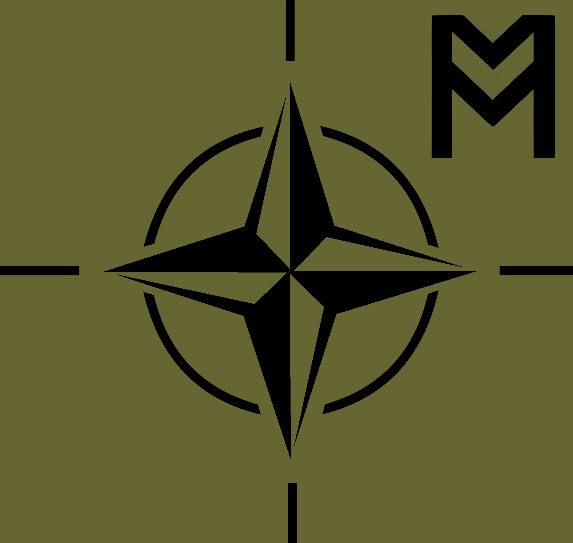 NATO PATCH