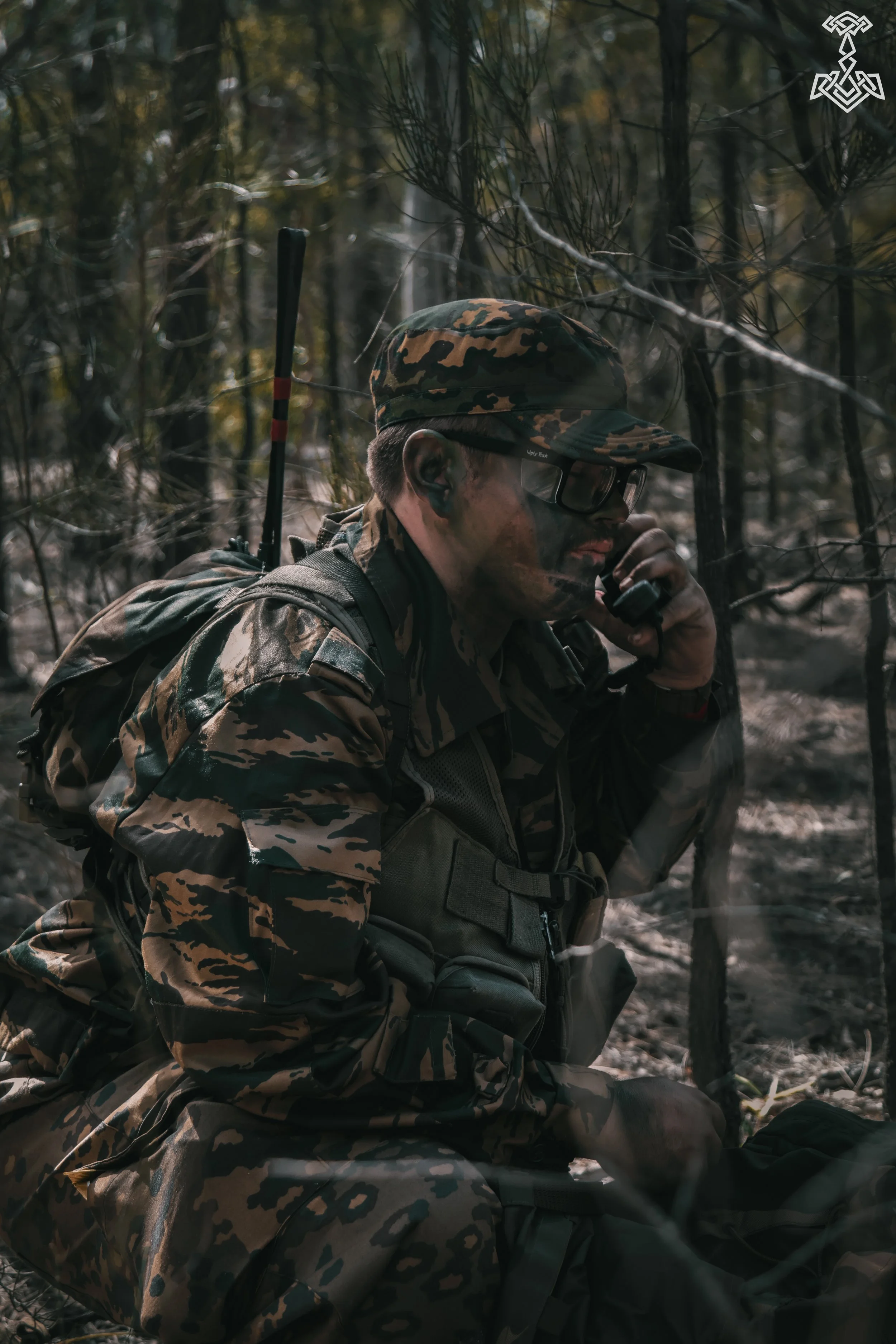IMG_2403.jpg