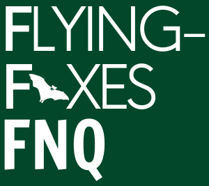 Flying-foxes FNQ