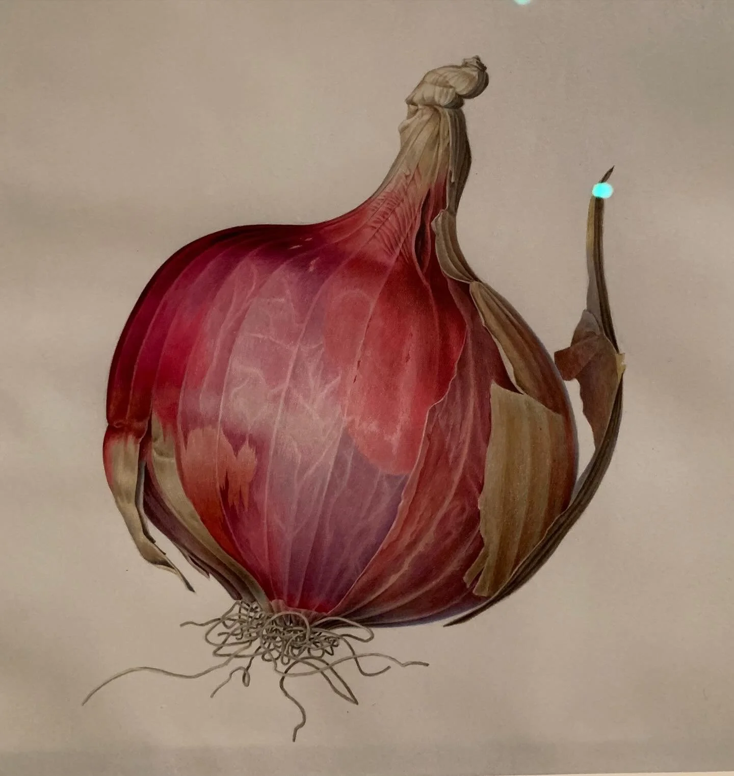 Beautiful exhibition of the work of Rory McEwen at @gardenmuseum with (most touching of all) his childhood fishing book, last picture. So much better in real life- on till the end of January.