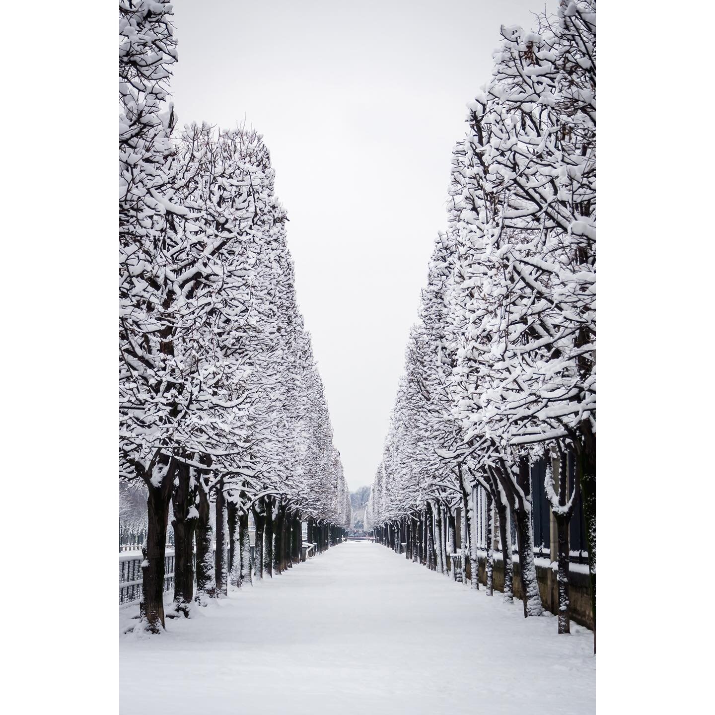 Purity - Paris
.
.
#Paris #JardindesTuileries #snowphotography #JardindesTuileriesParis #Parisphotography #Paris_focus_on #Pariscityvision #streetphotography #Parislandscape #ig_Paris #igersParis #picoftheday #photooftheday #Paris_maville #Parisjetai