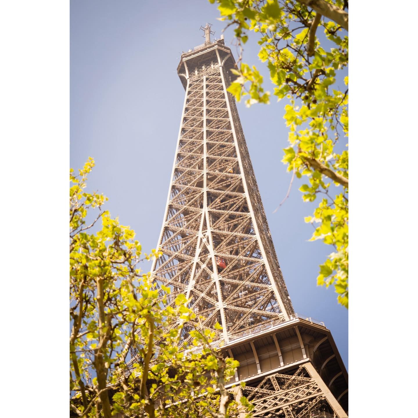 Iron cord construction - Paris
.
.
#EiffelTower #TourEiffel #Paris #ILoveParis #TourEiffelParis #TourEiffelFrance #goldentower #ParisMonAmour #Parismonument #ParisPhoto #ParisCityVision #Paris_Focus_On #ParisFranceOfficial #MonumentOfParis #ParisAtNi