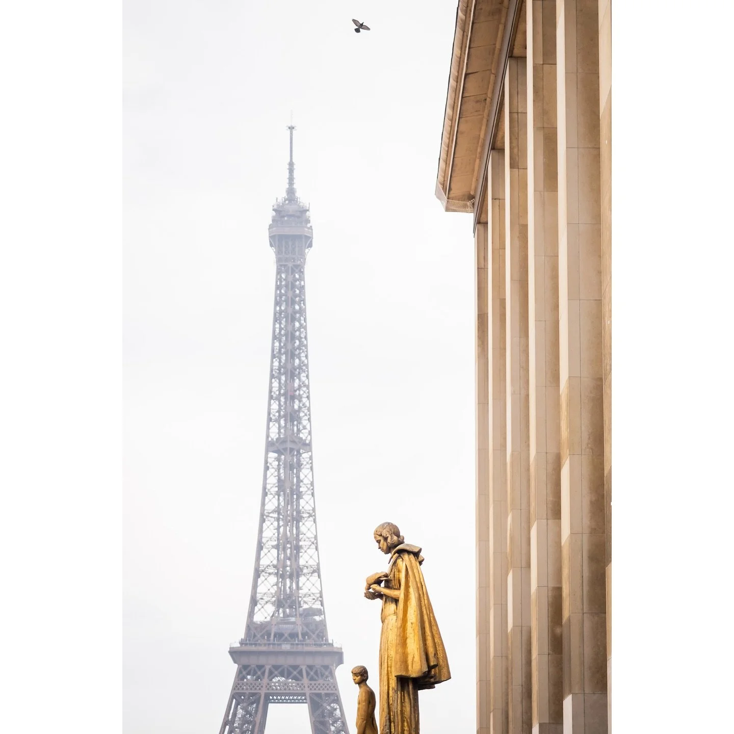 The wish - Paris
.
.

#Paris #EiffelTower #Trocadero #EiffelTowerParis #streetphotography #ParisFranceofficial #TourEiffel #TourEiffelParis #visitParis #topParisphoto #rainyphotography #photooftheday #Parisexplorer #igersParis #ig_Paris #Parismonamou