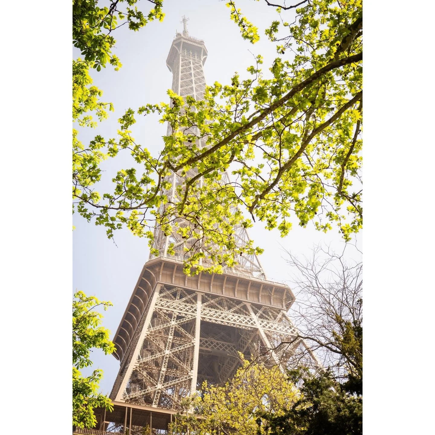 Dreamy tower - Paris
.
.
#EiffelTower #TourEiffel #Paris #ILoveParis #TourEiffelParis #TourEiffelFrance #goldentower #ParisMonAmour #Parismonument #ParisPhoto #ParisCityVision #Paris_Focus_On #ParisFranceOfficial #MonumentOfParis #ParisAtNight #Paris
