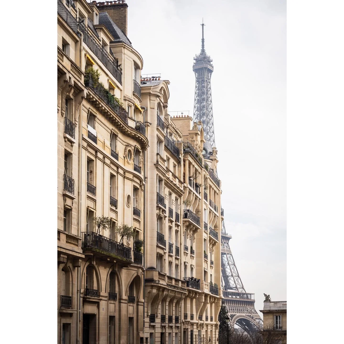 But I can't help. Falling in love with you. - Paris
.
.

#Paris #EiffelTower #Trocadero #EiffelTowerHorse #streetphotography #ParisFranceofficial #TourEiffel #TourEiffelParis #visitParis #topParisphoto #secretParis #photooftheday #Parisarchitecture #