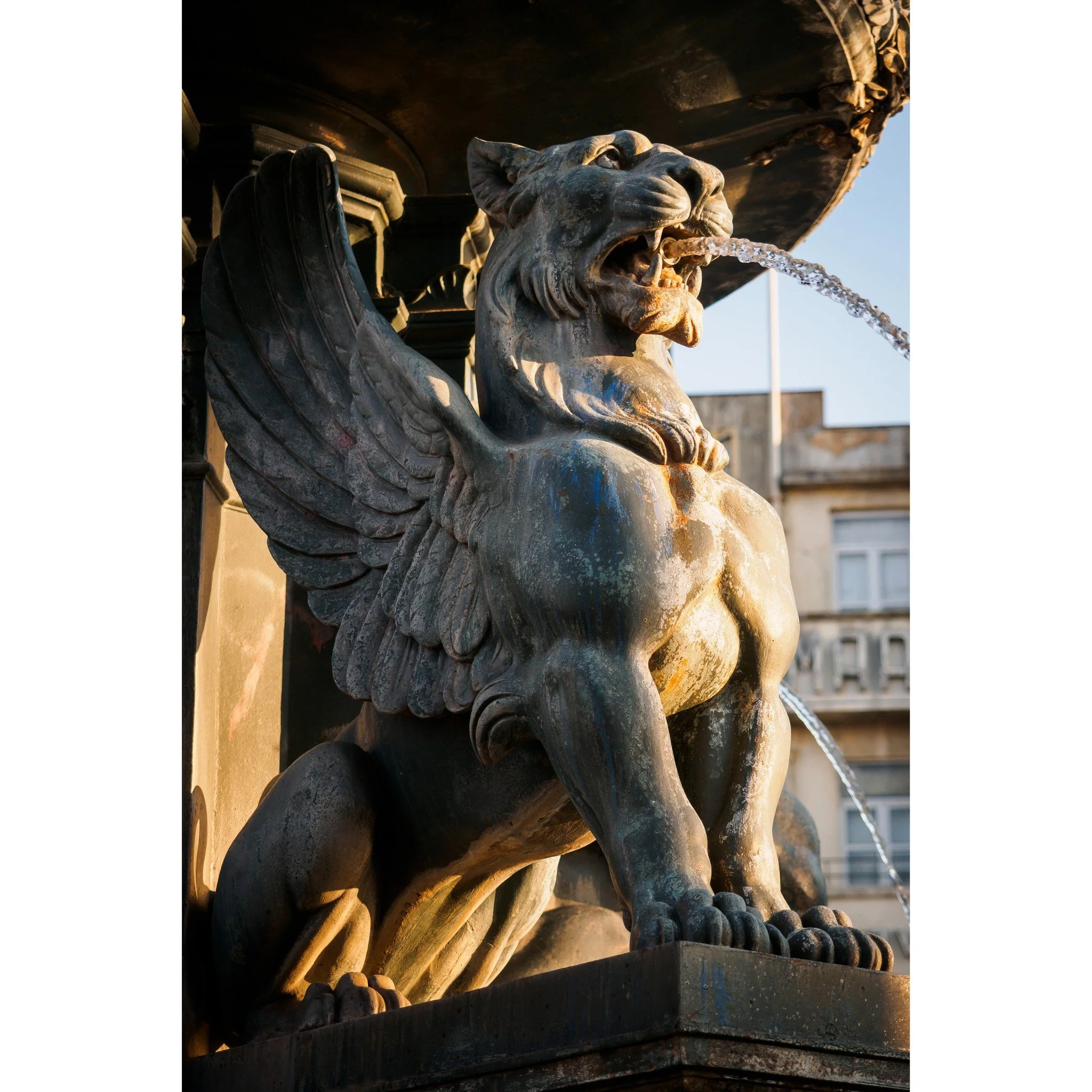 Golden flow &mdash; Porto
.
.
#Porto #Portugal #PortoPhotography #VisitPorto #PortoCity
#IGPorto #PortoShots #PortoViews #PortugalPhotography
#StreetPhotography #UrbanPhotography #CityDetails #ArchitectureDetails
#Sculpture #Fountain #ArtLovers #Fine