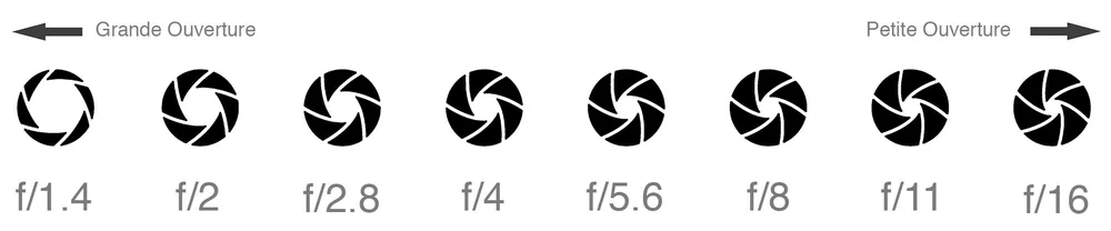 Comprendre la Profondeur de Champ en Photographie — Like an Artist ...