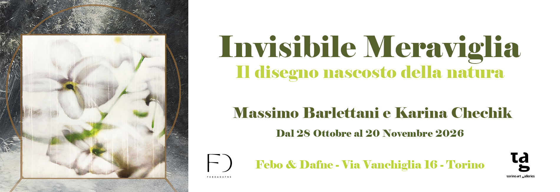 Invisibile meraviglia.png