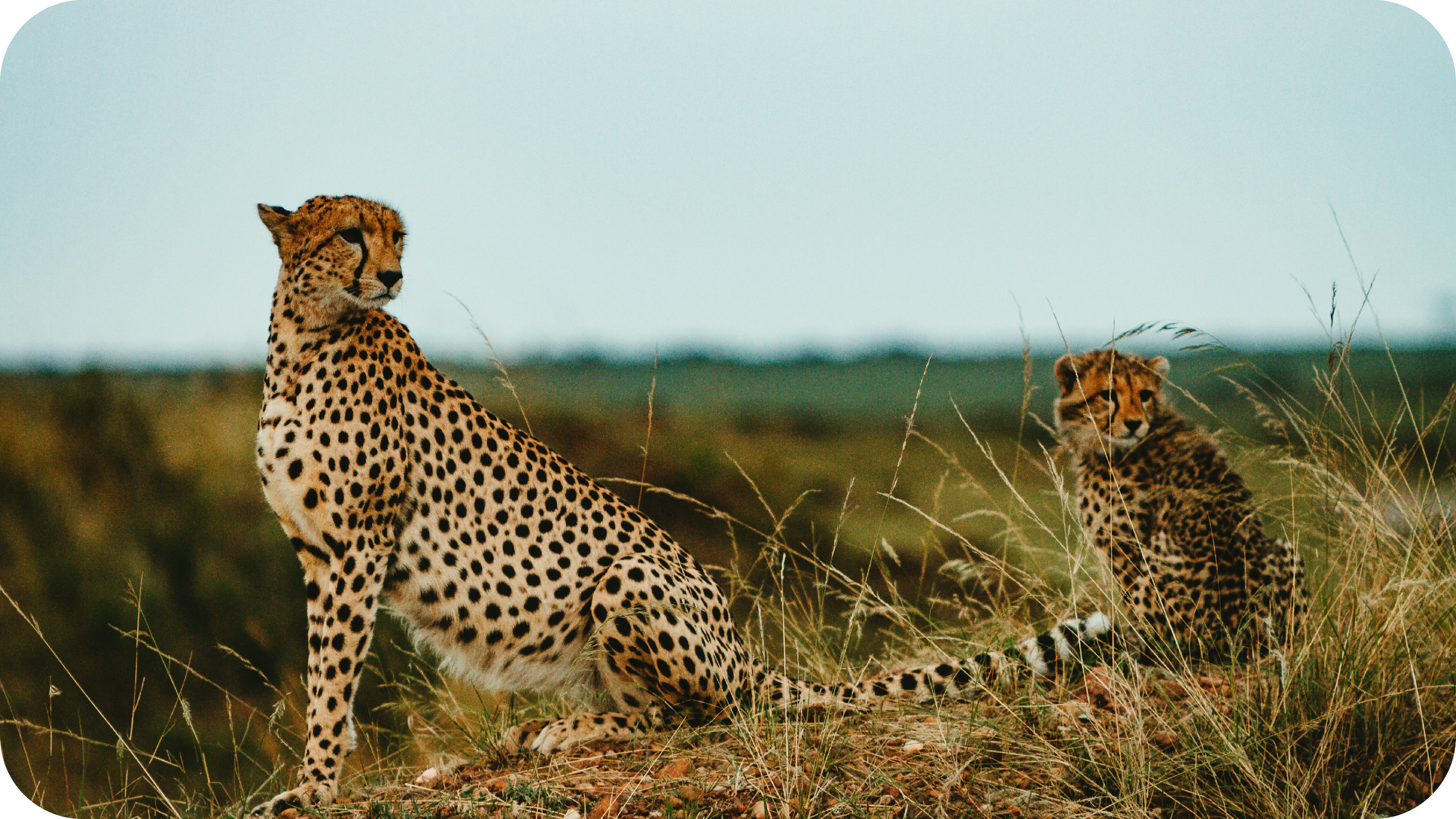 How Spark Has Improved Efficiency For Journeys With Purpose