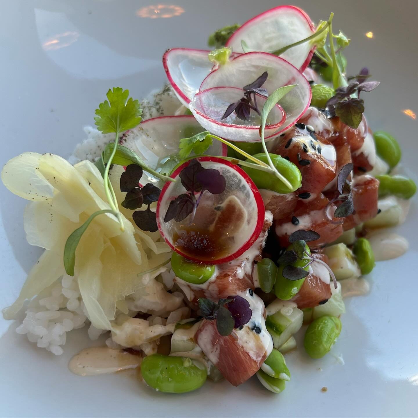 Okay, let&rsquo;s talk about poke 🤌🏼
This tuna poke is absolutely delicious &amp; has been flying out of the kitchen this week.

Dry aged Cornish blue fin tuna &bull; sushi rice &bull; avocado &bull; edamame &bull; cucumber &bull; wasabi &amp; aged