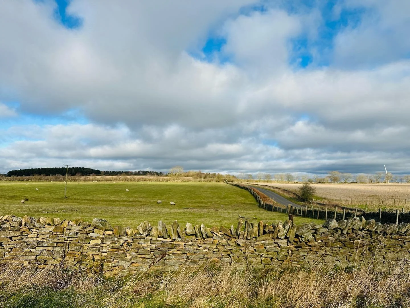 Right from the moment you set foot out The Cottage front door there are lots of lovely walks with or without your four legged friend&hellip;. 

Come and see for yourself and experience some amazing countryside in the peace and quiet of The Cottage&rs