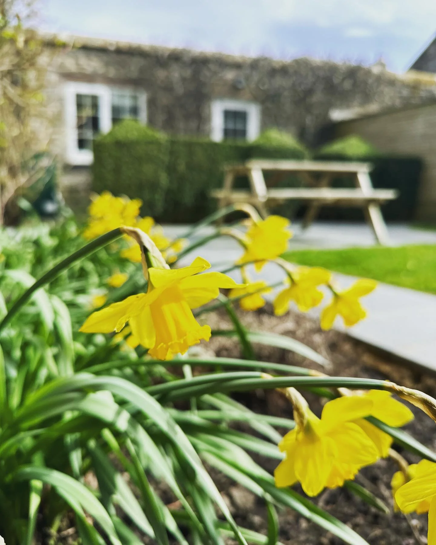 Springtime at The Cottage is in full swing&hellip;. the bulbs are starting to spread some colour, the birds are full of song and building their nest.. the sun is shining and plenty of wildlife on our doorstep to keep you entertained &hellip; from a q