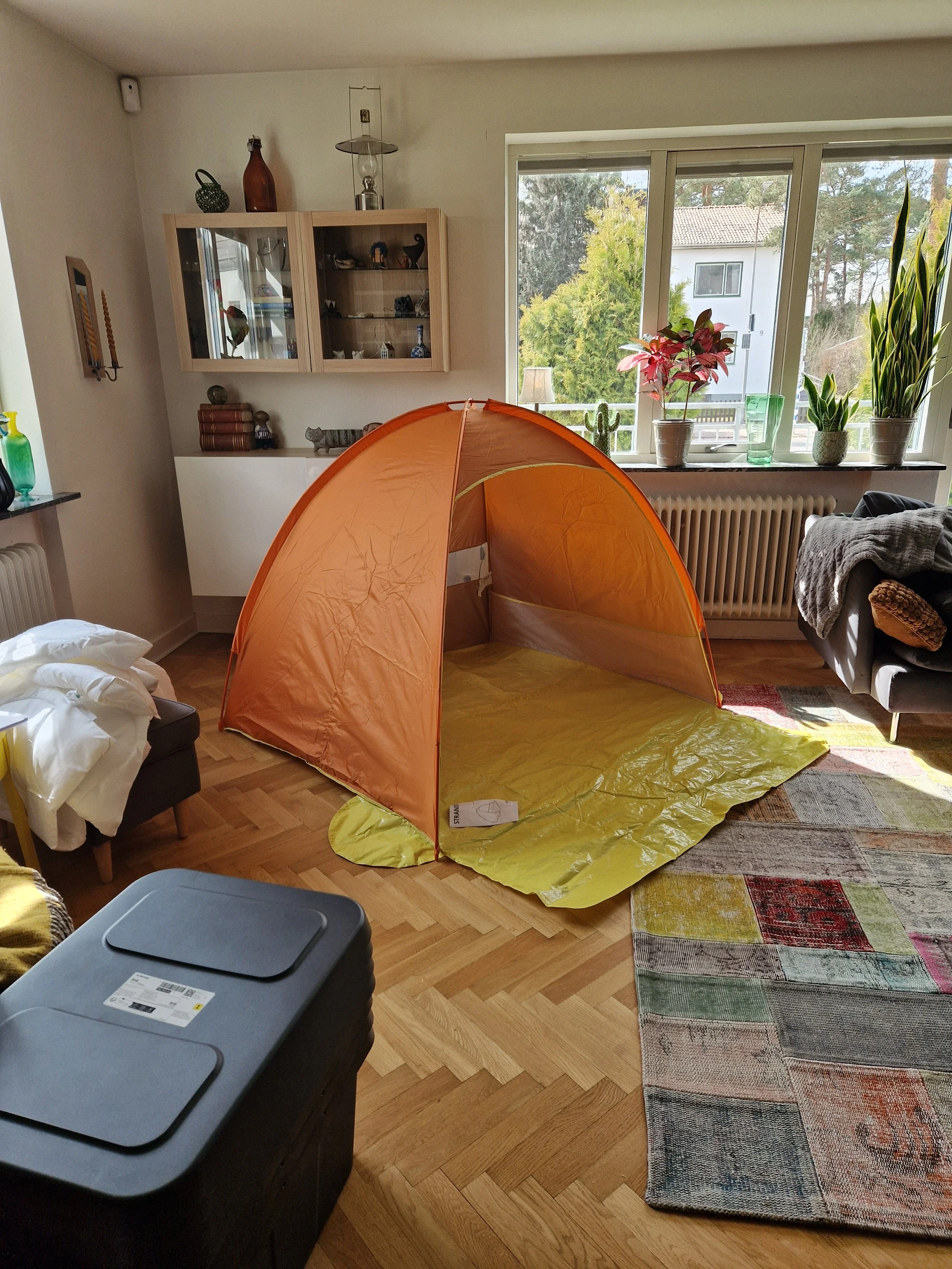 20260410_140427.jpg