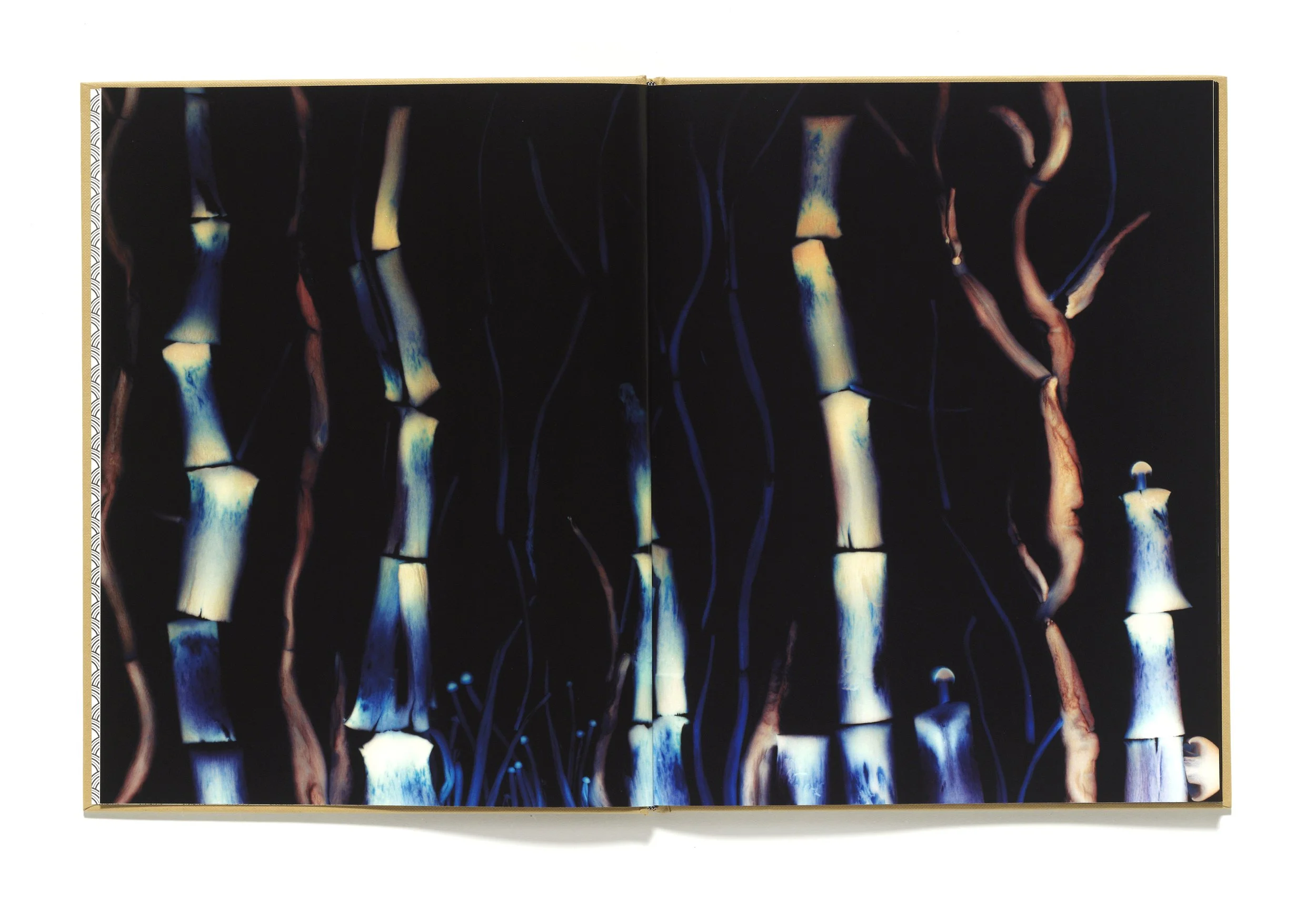 The Mushroom Picker by David Robinson published by Violette Editions2.JPG